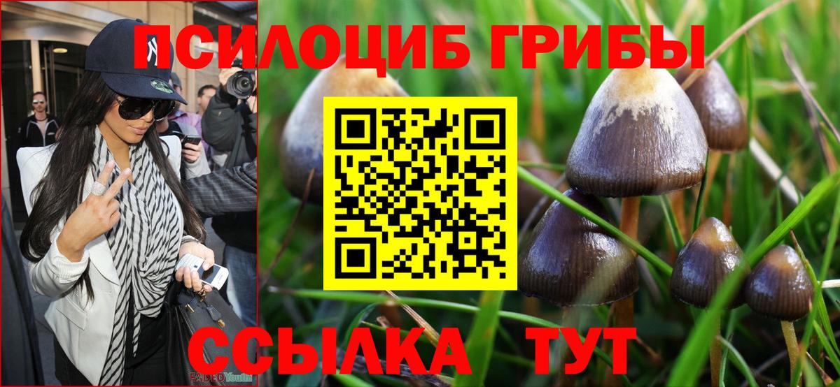 Псилоцибиновые грибы мухоморы Боровичи