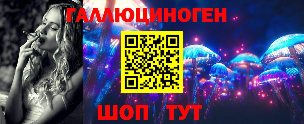 Галлюциногенные грибы Psilocybine cubensis  Вход с VPN  Боровичи 